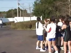 Abejorro