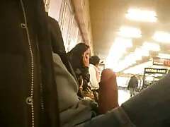 Un gran toro negro le mostrará a una chica blanca por qué son conocidos los hombres negros