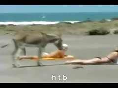 H0twife