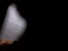 Dama